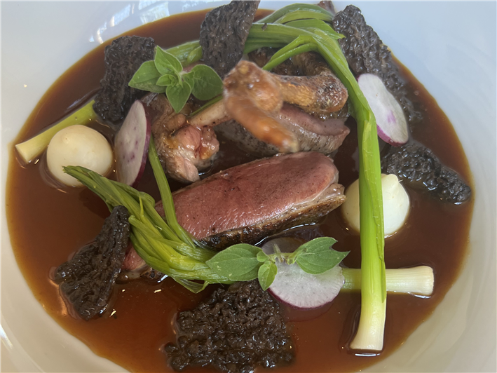pigeon and morels